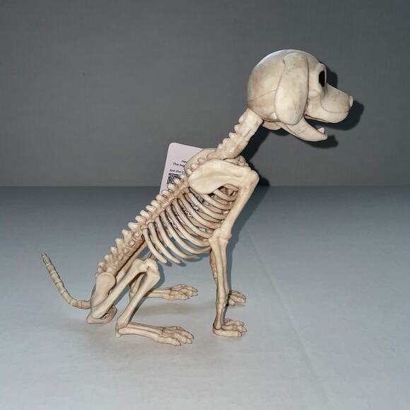 8" SITTING PUPPY DOG SKELETON SPOOKY BONEZ DEAD ANIMAL PROP DECORATION NEW - Picture 2 of 6
